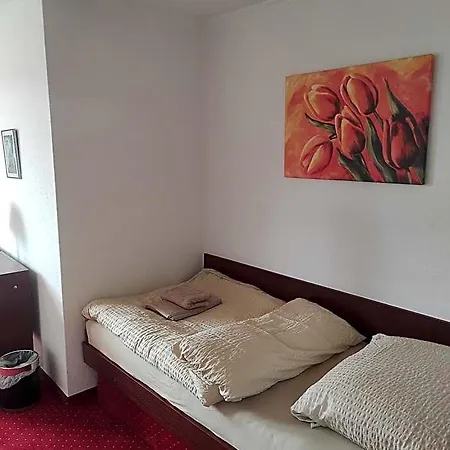 Aura Am Schloss 호텔 *
